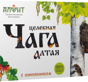 ЦЕЛЕБНАЯ ЧАГА АЛТАЯ С ШИПОВНИКОМ