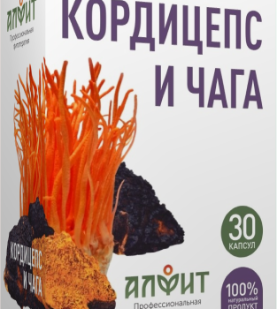 КОРДИЦЕПС И ЧАГА