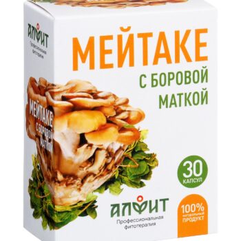 МЕЙТАКЕ С БОРОВОЙ МАТКОЙ